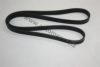 AUTOMEGA 30100790383 V-Ribbed Belts